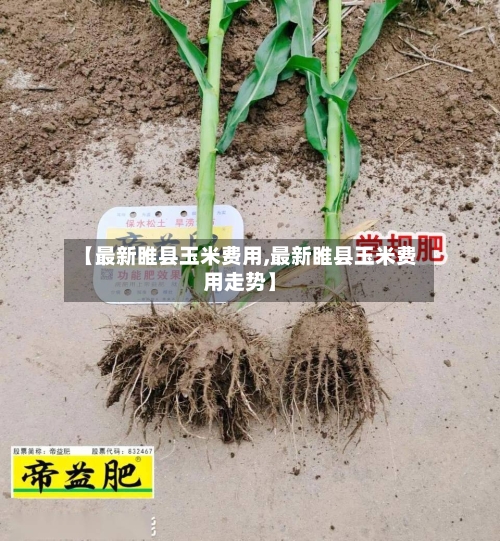 【最新睢县玉米费用,最新睢县玉米费用走势】