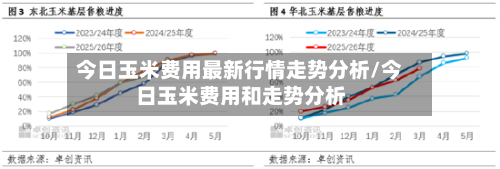 今日玉米费用最新行情走势分析/今日玉米费用和走势分析-第2张图片