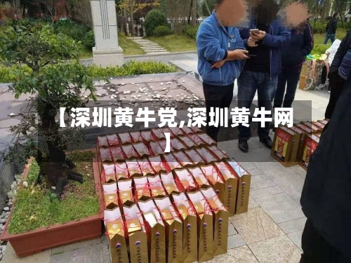 【深圳黄牛党,深圳黄牛网】