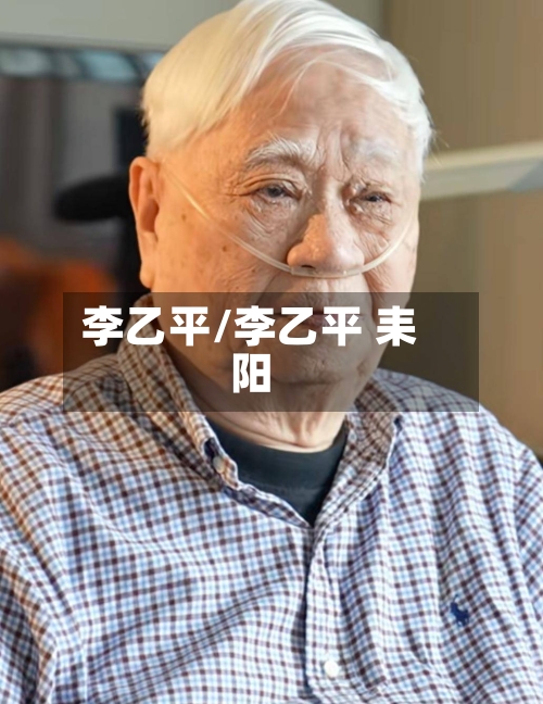 李乙平/李乙平 耒阳