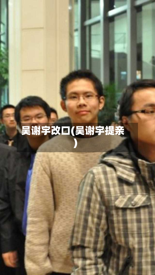 吴谢宇改口(吴谢宇提亲)