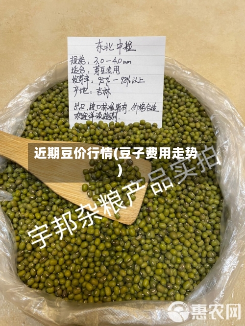 近期豆价行情(豆子费用走势)-第2张图片