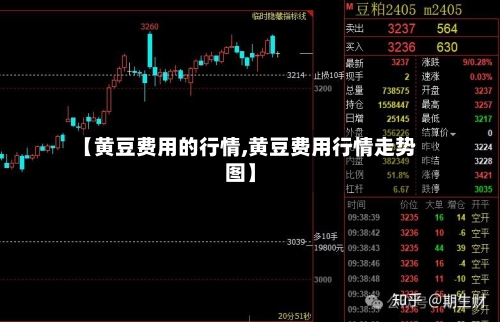 【黄豆费用的行情,黄豆费用行情走势图】