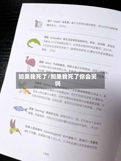 如果我死了/如果我死了你会哭吗