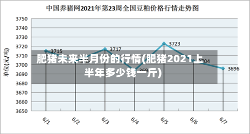 肥猪未来半月份的行情(肥猪2021上半年多少钱一斤)