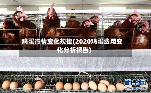 鸡蛋行情变化规律(2020鸡蛋费用变化分析报告)-第2张图片