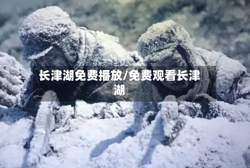 长津湖免费播放/免费观看长津湖-第2张图片