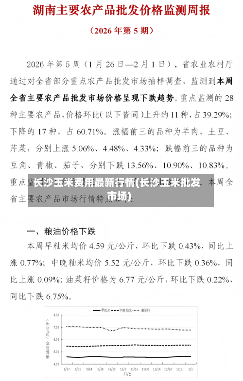 长沙玉米费用最新行情(长沙玉米批发市场)-第3张图片