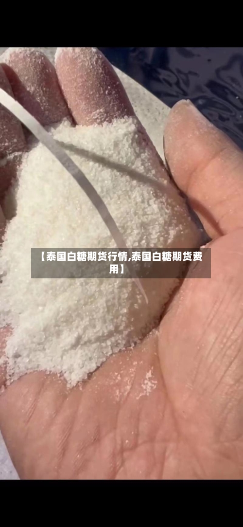 【泰国白糖期货行情,泰国白糖期货费用】