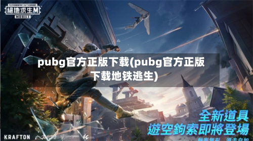 pubg官方正版下载(pubg官方正版下载地铁逃生)-第2张图片