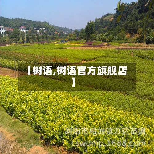 【树语,树语官方旗舰店】