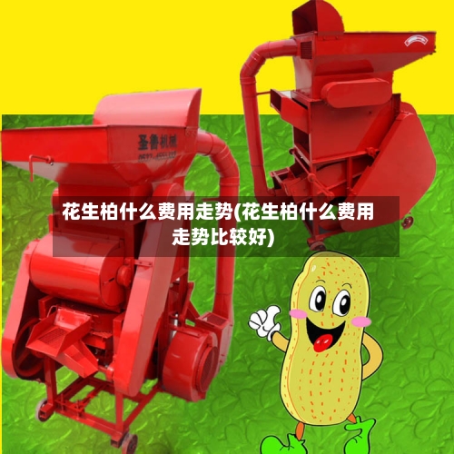 花生柏什么费用走势(花生柏什么费用走势比较好)