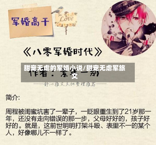 甜宠无虐的军婚小说/甜宠无虐军旅文-第3张图片