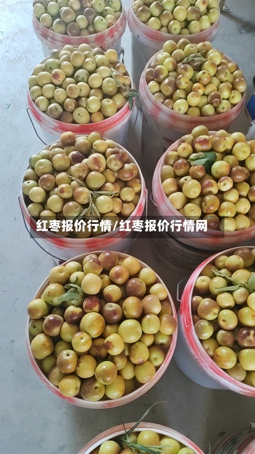 红枣报价行情/红枣报价行情网