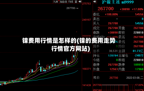 镍费用行情是怎样的(镍的费用走势行情官方网站)-第2张图片