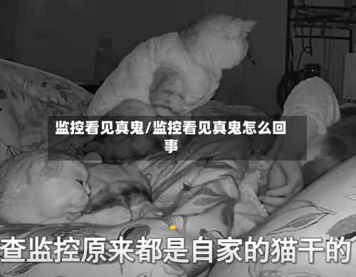 监控看见真鬼/监控看见真鬼怎么回事-第2张图片
