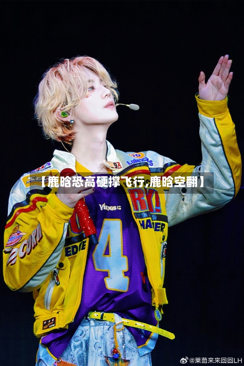 【鹿晗恐高硬撑飞行,鹿晗空翻】