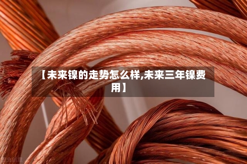 【未来镍的走势怎么样,未来三年镍费用】