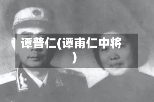 谭普仁(谭甫仁中将)