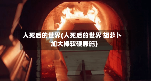 人死后的世界(人死后的世界 胡萝卜加大棒软硬兼施)