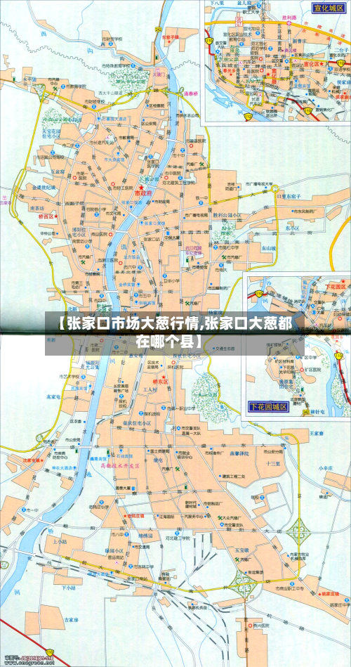 【张家口市场大葱行情,张家口大葱都在哪个县】-第2张图片