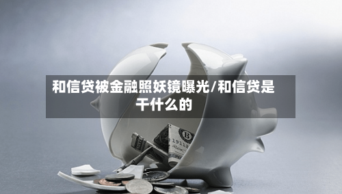 和信贷被金融照妖镜曝光/和信贷是干什么的-第3张图片
