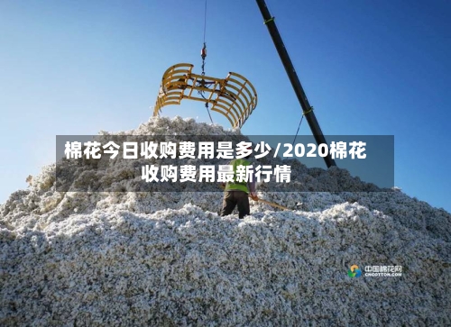 棉花今日收购费用是多少/2020棉花收购费用最新行情