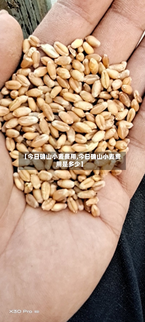 【今日确山小麦费用,今日确山小麦费用是多少】-第3张图片