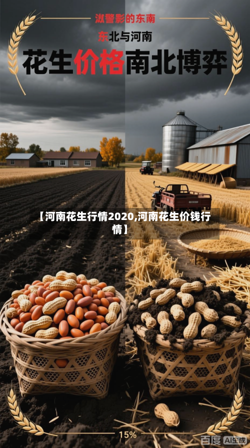【河南花生行情2020,河南花生价钱行情】