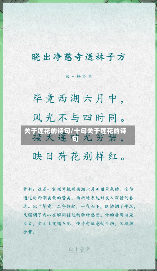 关于莲花的诗句/十句关于莲花的诗句-第3张图片