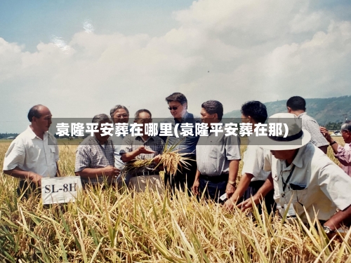 袁隆平安葬在哪里(袁隆平安葬在那)-第2张图片