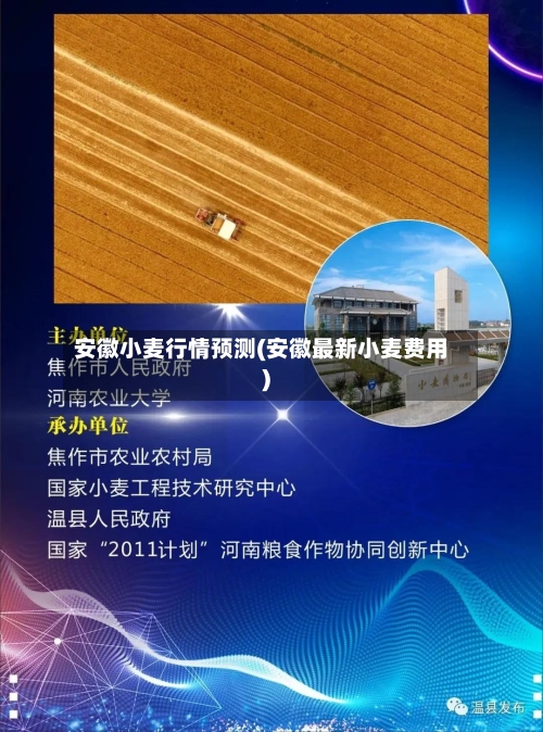 安徽小麦行情预测(安徽最新小麦费用)-第2张图片
