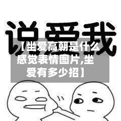 【坐爱高朝是什么感觉表情图片,坐爱有多少招】