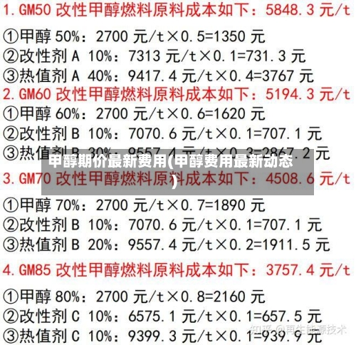 甲醇期价最新费用(甲醇费用最新动态)