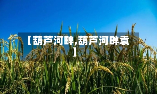 【葫芦河畔,葫芦河畔袁】