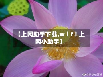 【上网助手下载,wⅰfⅰ上网小助手】-第3张图片