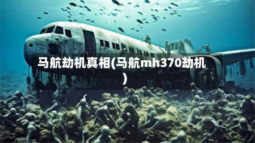 马航劫机真相(马航mh370劫机)