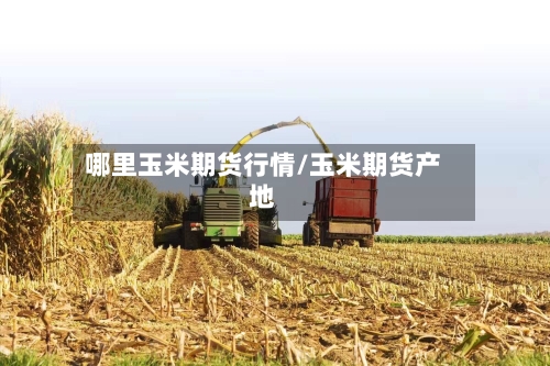 哪里玉米期货行情/玉米期货产地