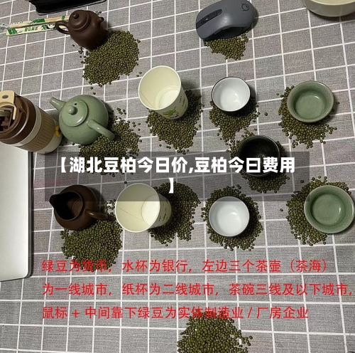 【湖北豆柏今日价,豆柏今曰费用】-第2张图片