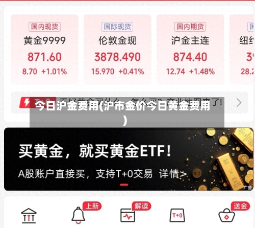 今日沪金费用(沪市金价今日黄金费用)-第3张图片