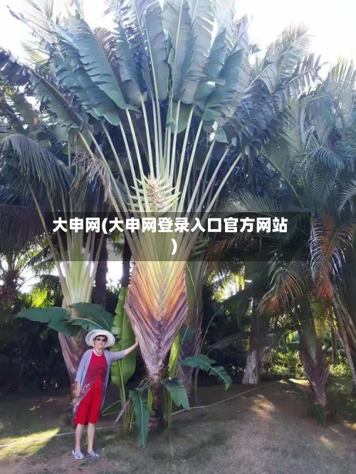 大申网(大申网登录入口官方网站)
