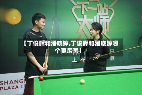 【丁俊晖和潘晓婷,丁俊晖和潘晓婷哪个更厉害】-第3张图片