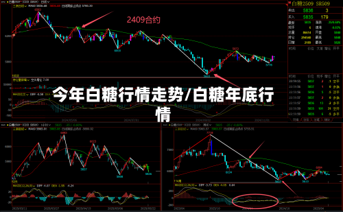 今年白糖行情走势/白糖年底行情-第2张图片