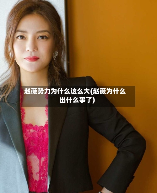 赵薇势力为什么这么大(赵薇为什么出什么事了)