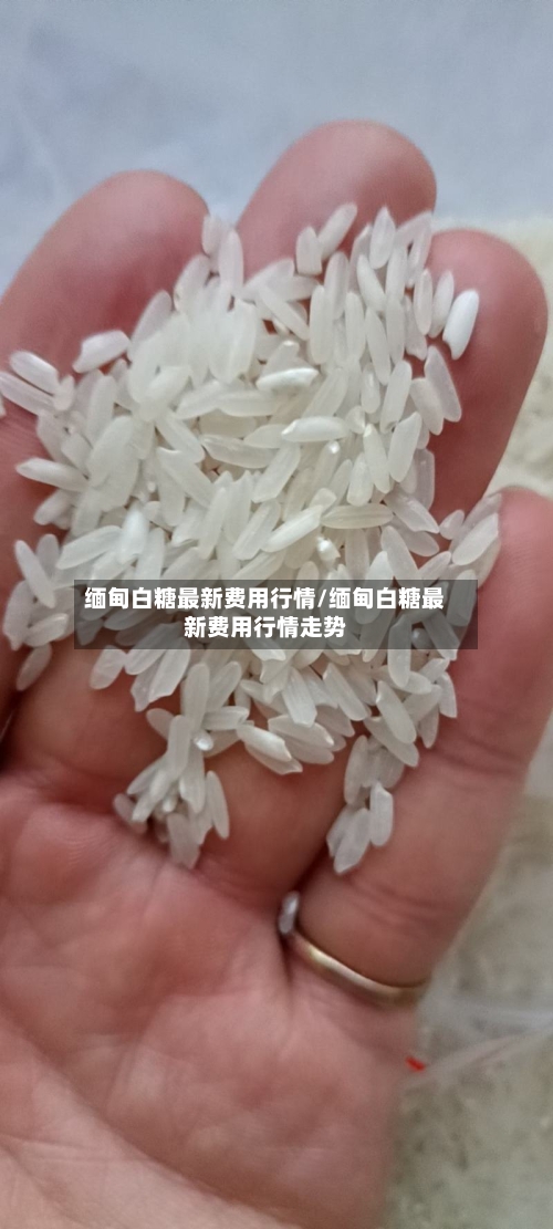 缅甸白糖最新费用行情/缅甸白糖最新费用行情走势-第2张图片