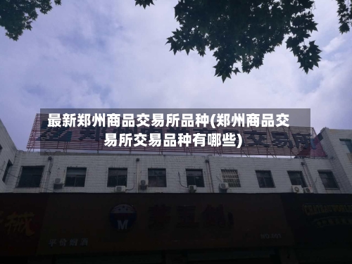 最新郑州商品交易所品种(郑州商品交易所交易品种有哪些)-第2张图片