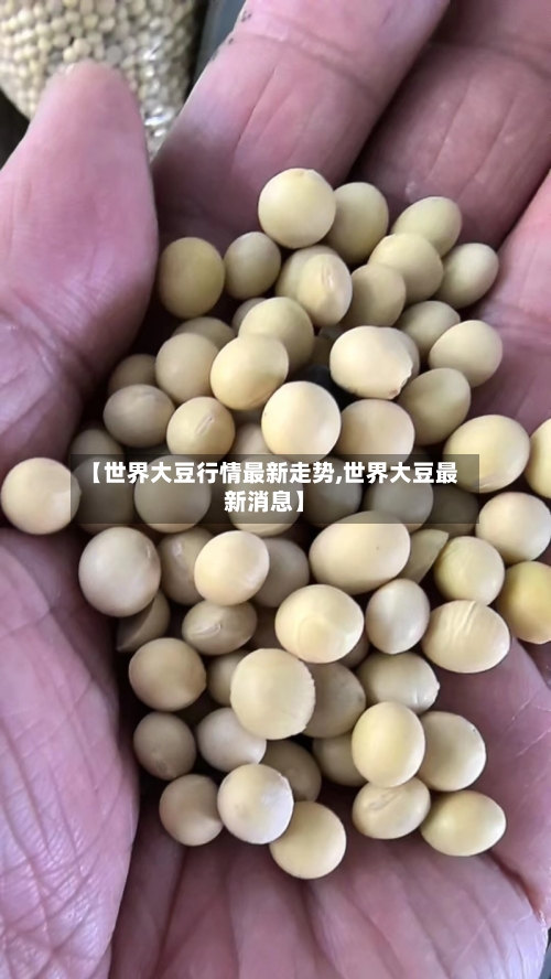 【世界大豆行情最新走势,世界大豆最新消息】