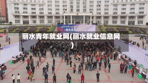 丽水青年就业网(丽水就业信息网)