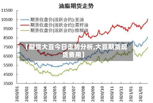 【期货大豆今日走势分析,大豆期货现货费用】