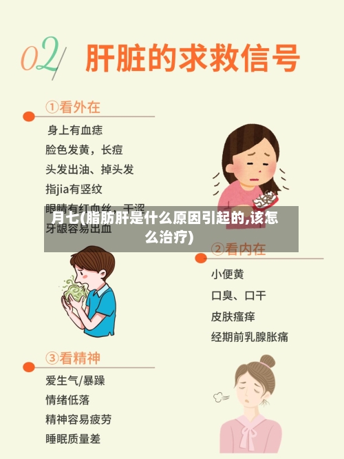 月七(脂肪肝是什么原因引起的,该怎么治疗)